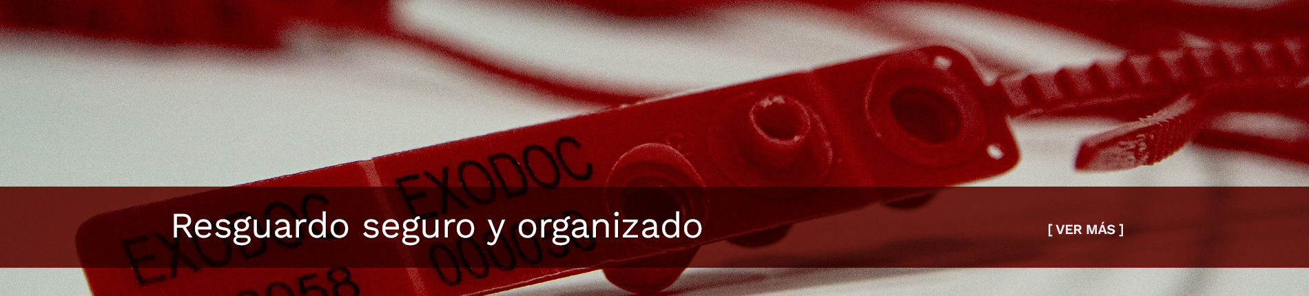 Resguardo seguro y organizado